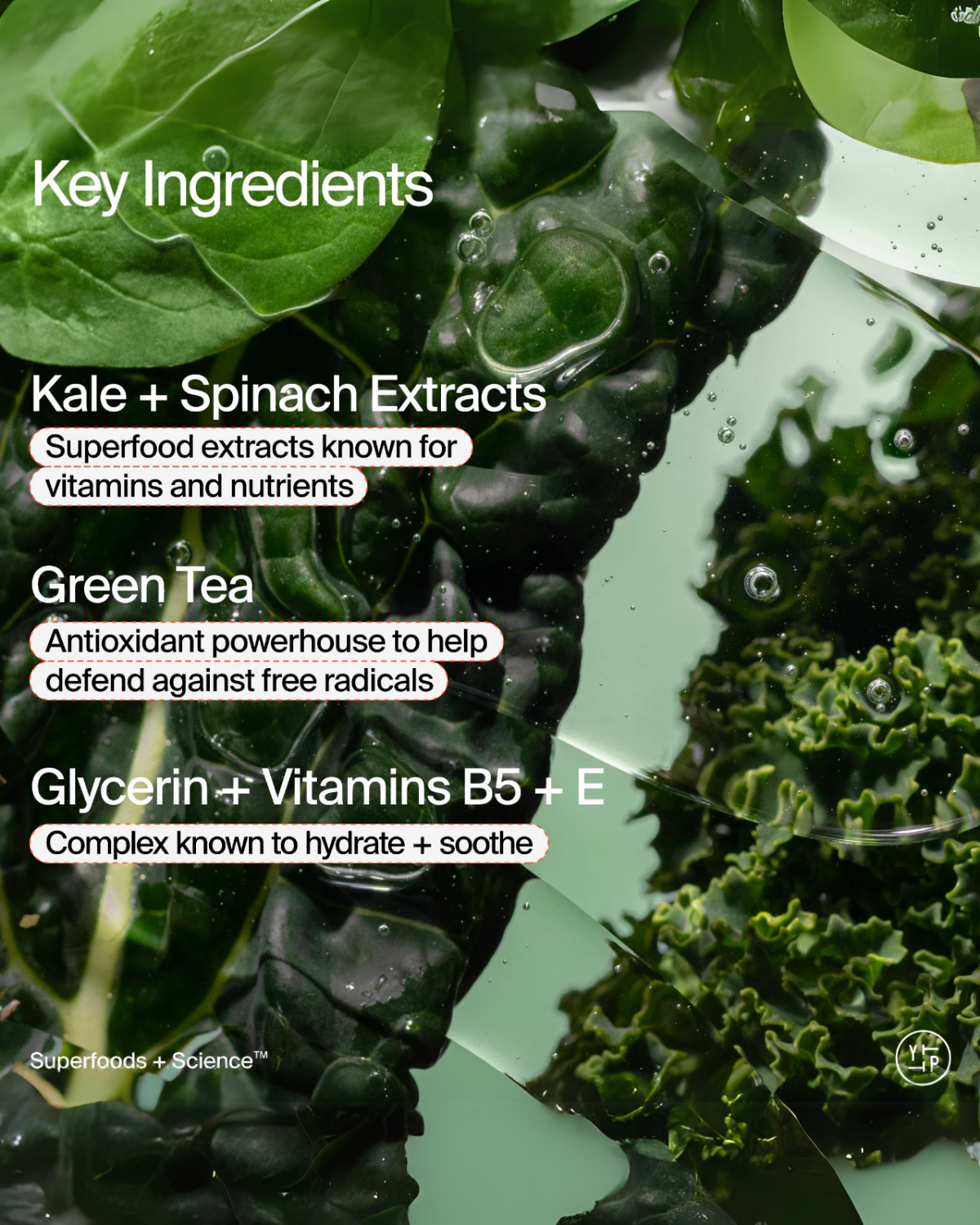 Superfood Gentle Antioxidant Cleanser